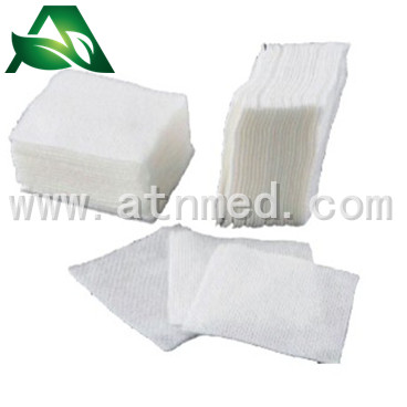 AT-G 003 Non- woven  spones